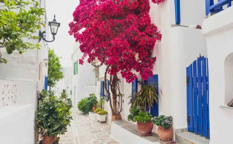 Marpissa, a picturesque village in Paros